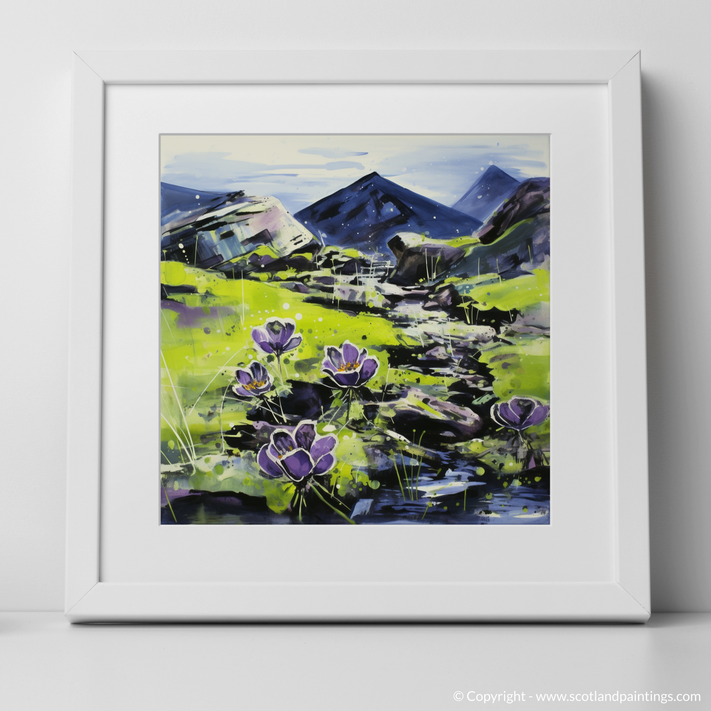 Butterwort Dance on Ben Cruachan’s Dewy Canvas