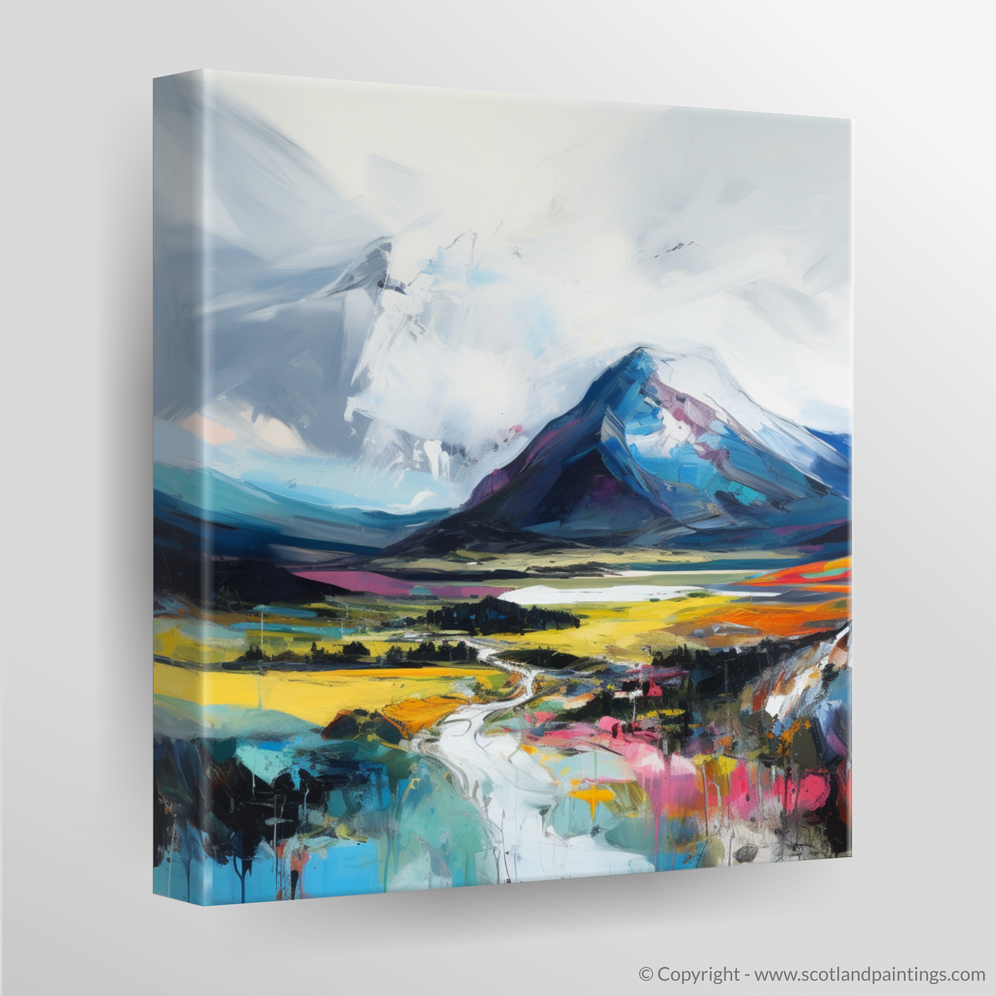 Canvas Print of Geal-chàrn (Drumochter)
