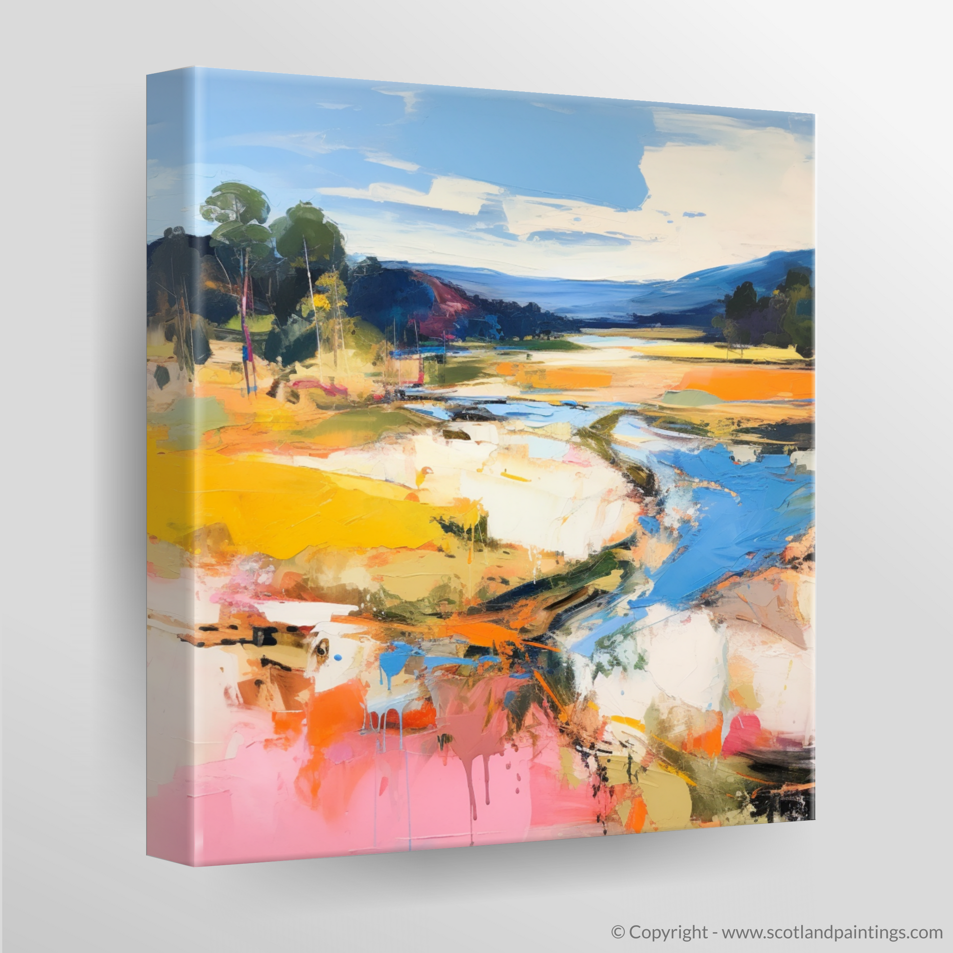 Canvas Print of Glen Tanar, Aberdeenshire in summer