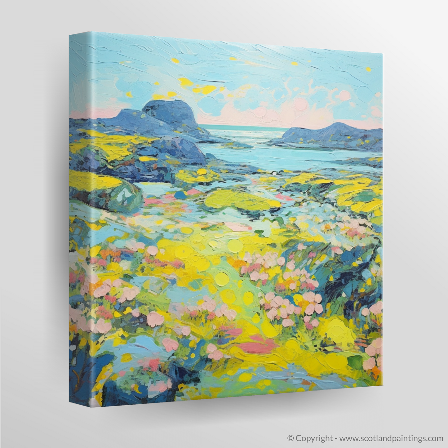 Canvas Print of Isle of Lewis, Outer Hebrides in summer