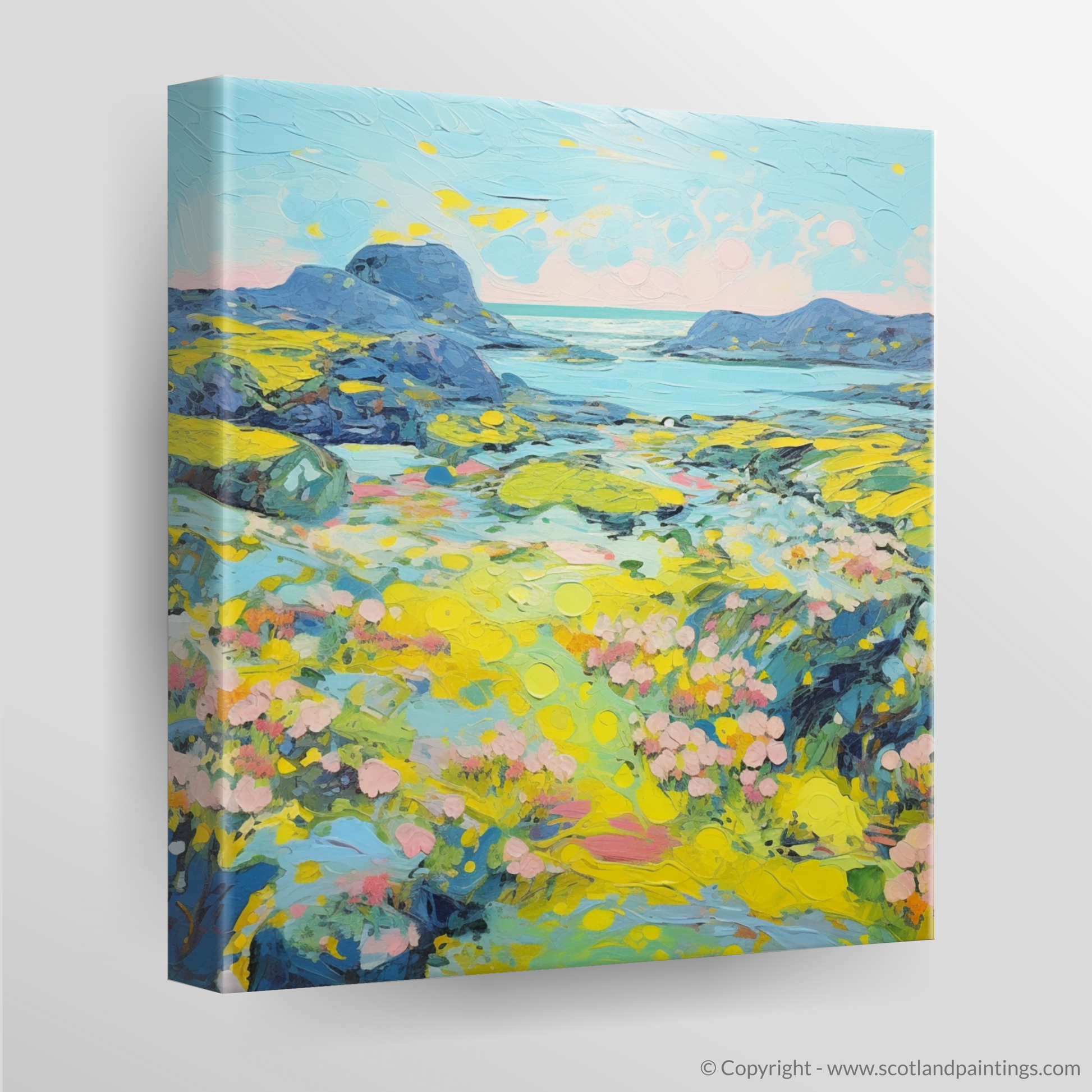 Canvas Print of Isle of Lewis, Outer Hebrides in summer