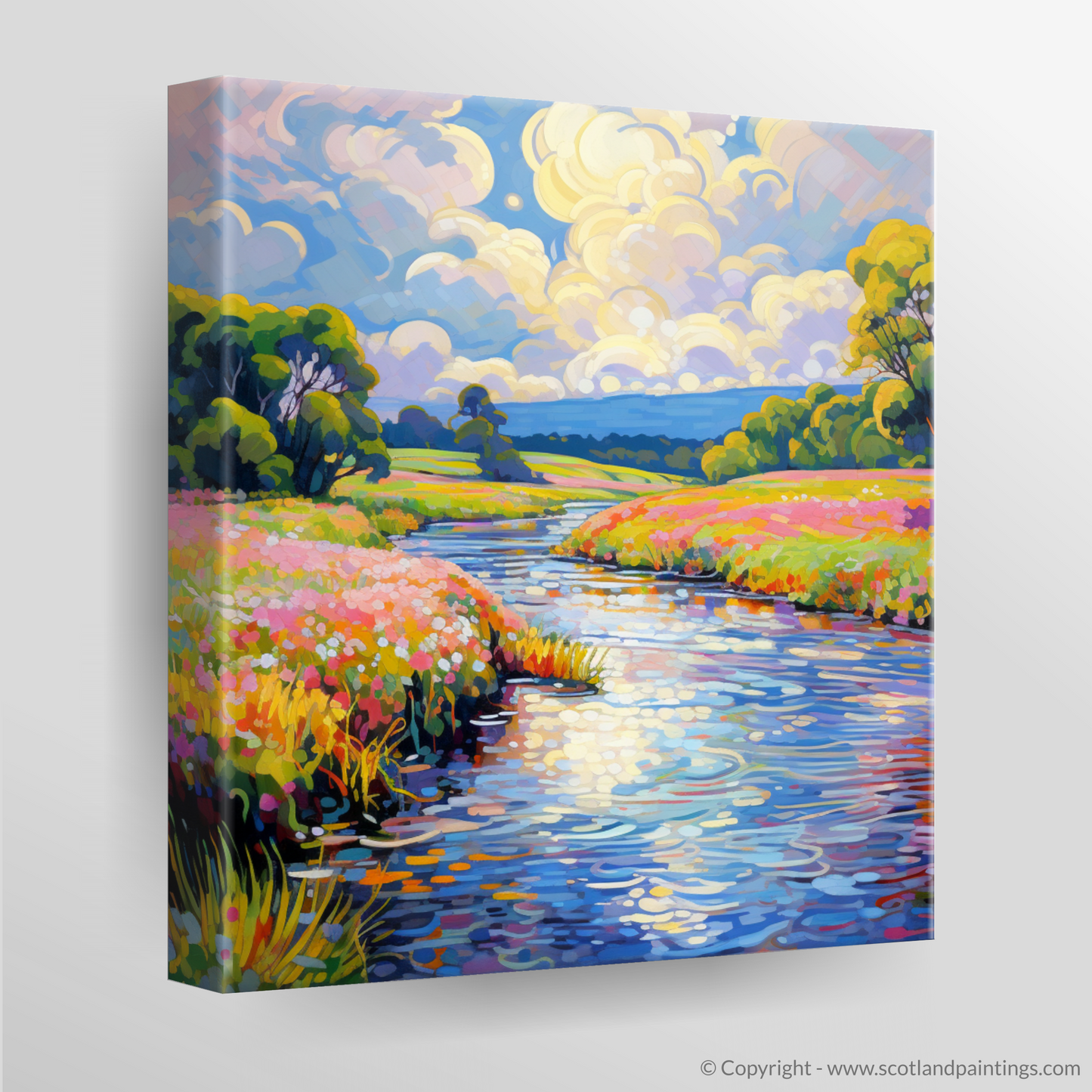 Canvas Print of River Esk, Angus in summer