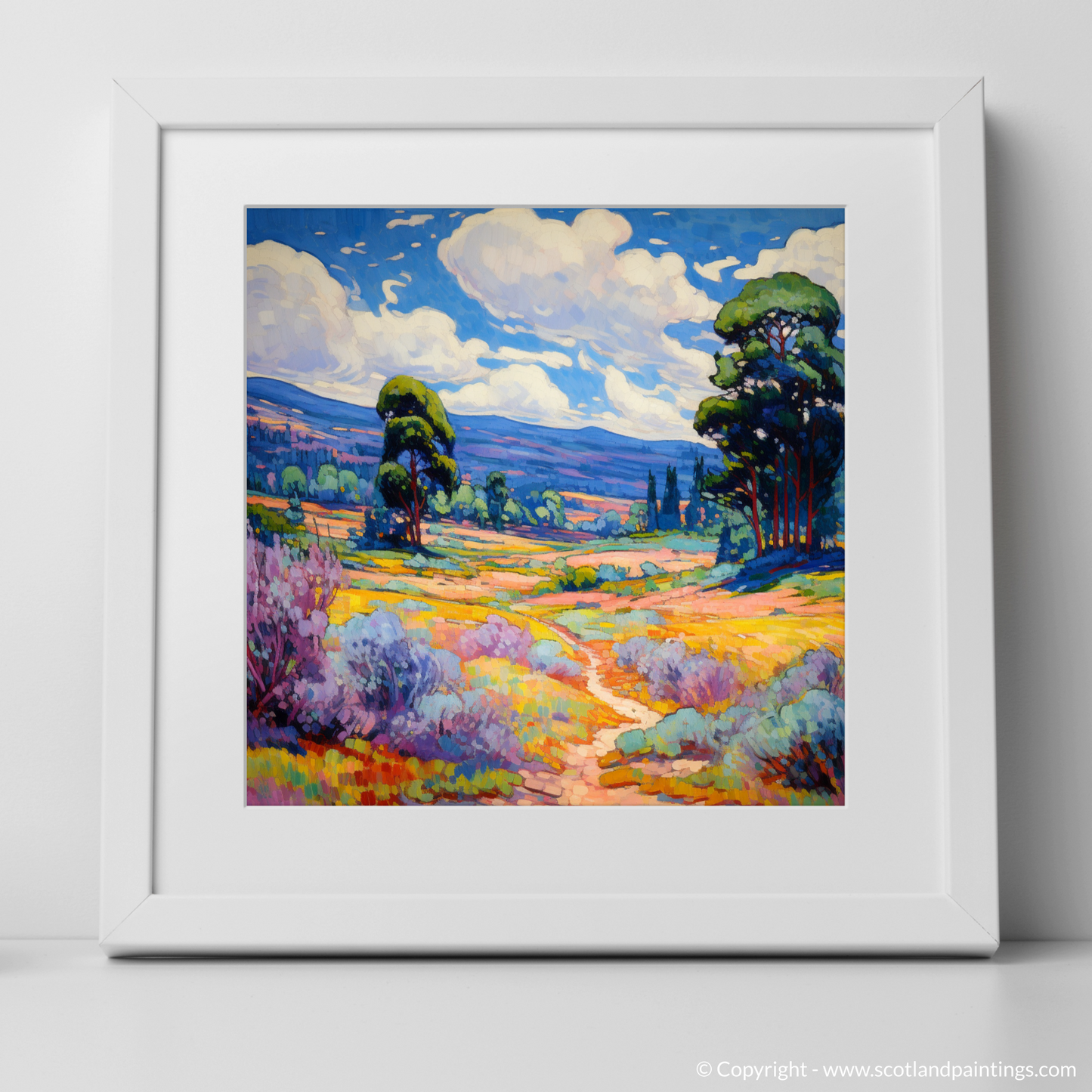 Art Print of Glen Tanar, Aberdeenshire in summer with a white frame