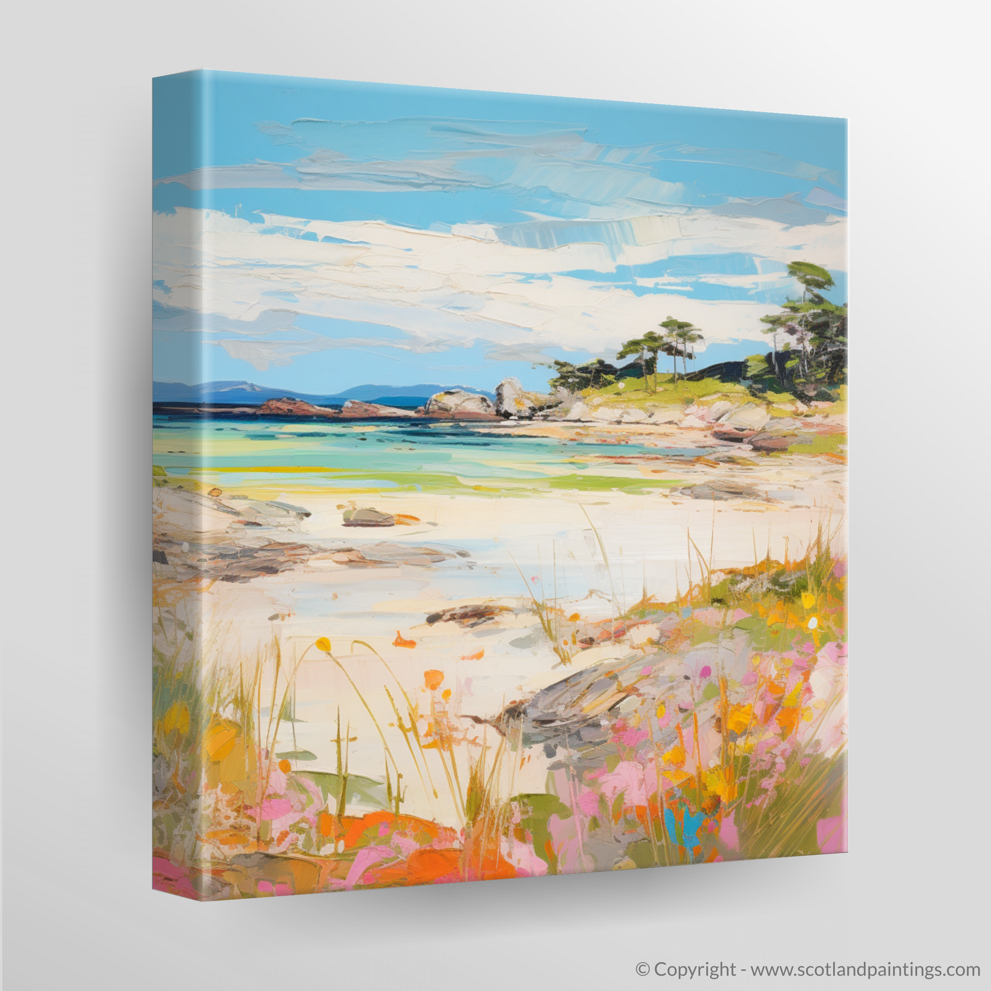 Canvas Print of Arisaig Beach, Arisaig in summer