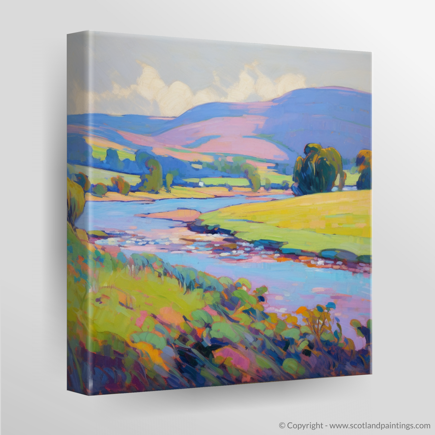 Summer Serenade along the River Tweed