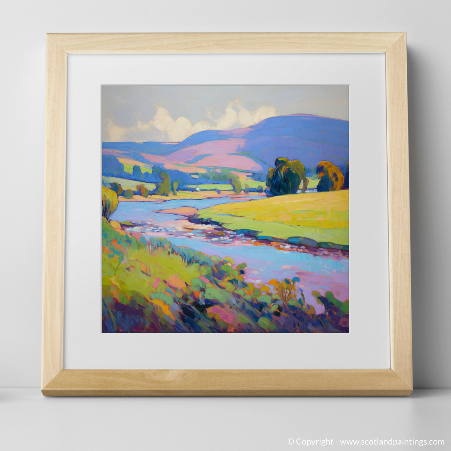 Summer Serenade along the River Tweed