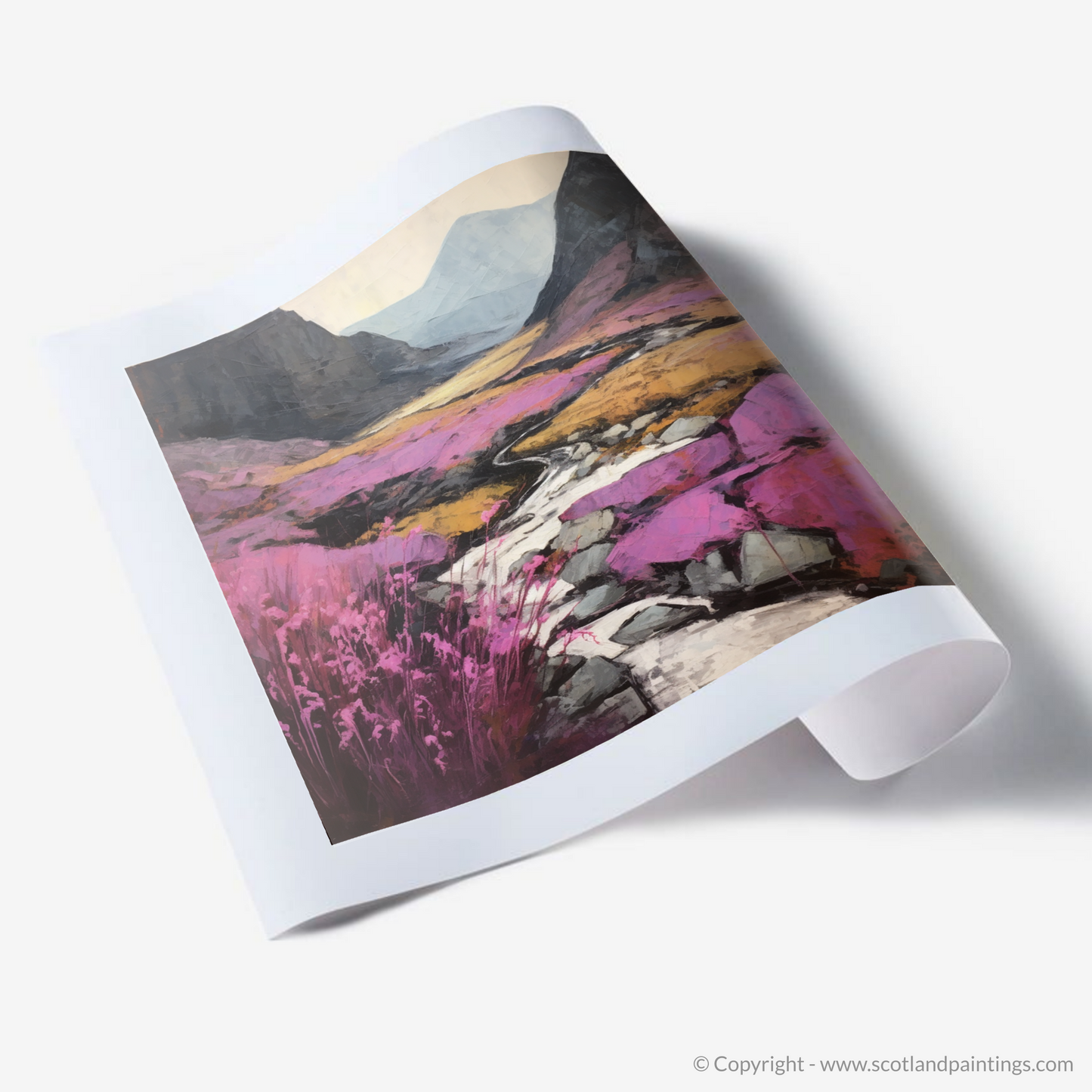 Art Print of Heather blooms by River Coe in Glencoe