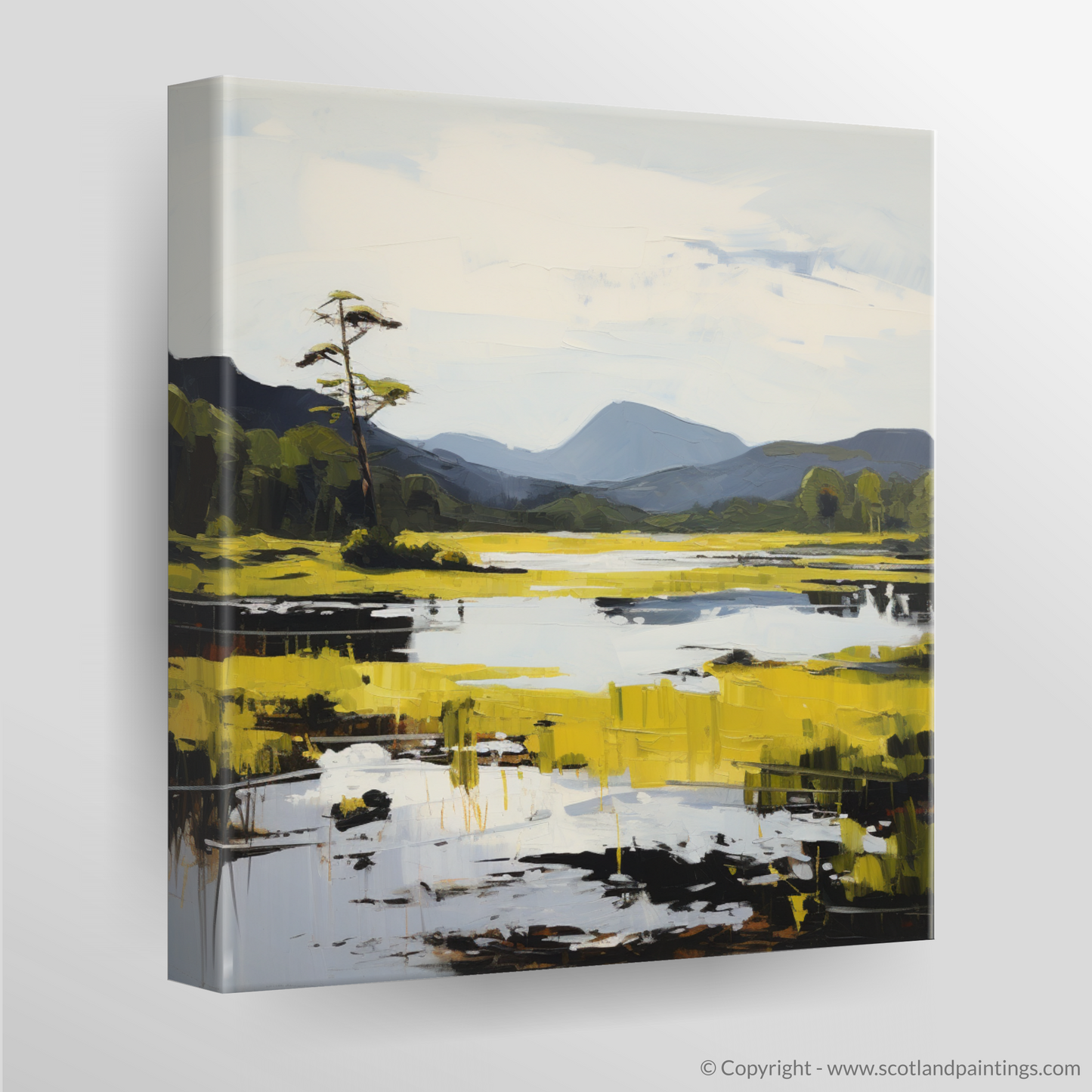 Canvas Print of Loch Ard, Stirling in summer